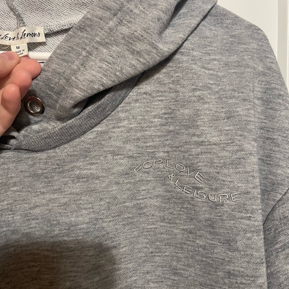 For Love And Lemons Light Gray Cropped Hoodie - Picture 6 of 7